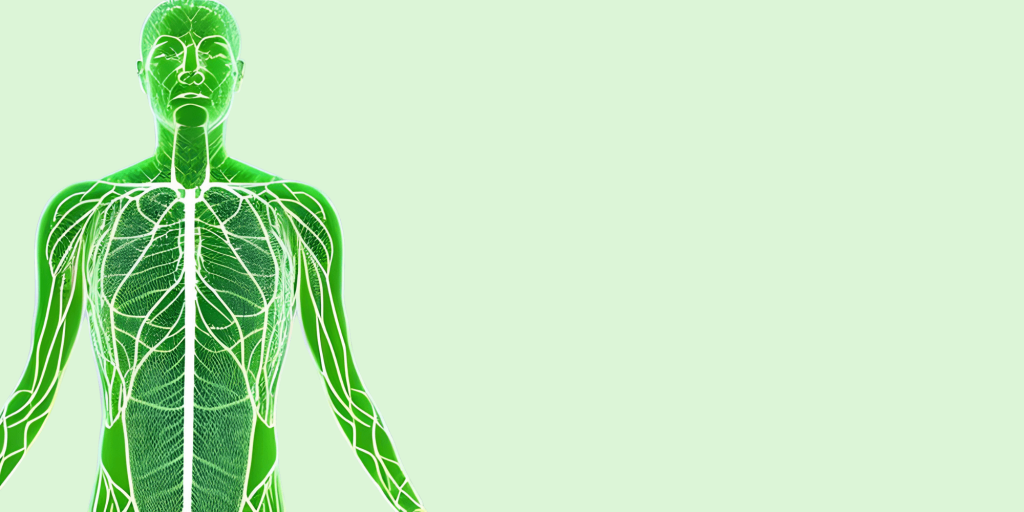 Unser Lymphsystem – Abfalltransport durch den Körper